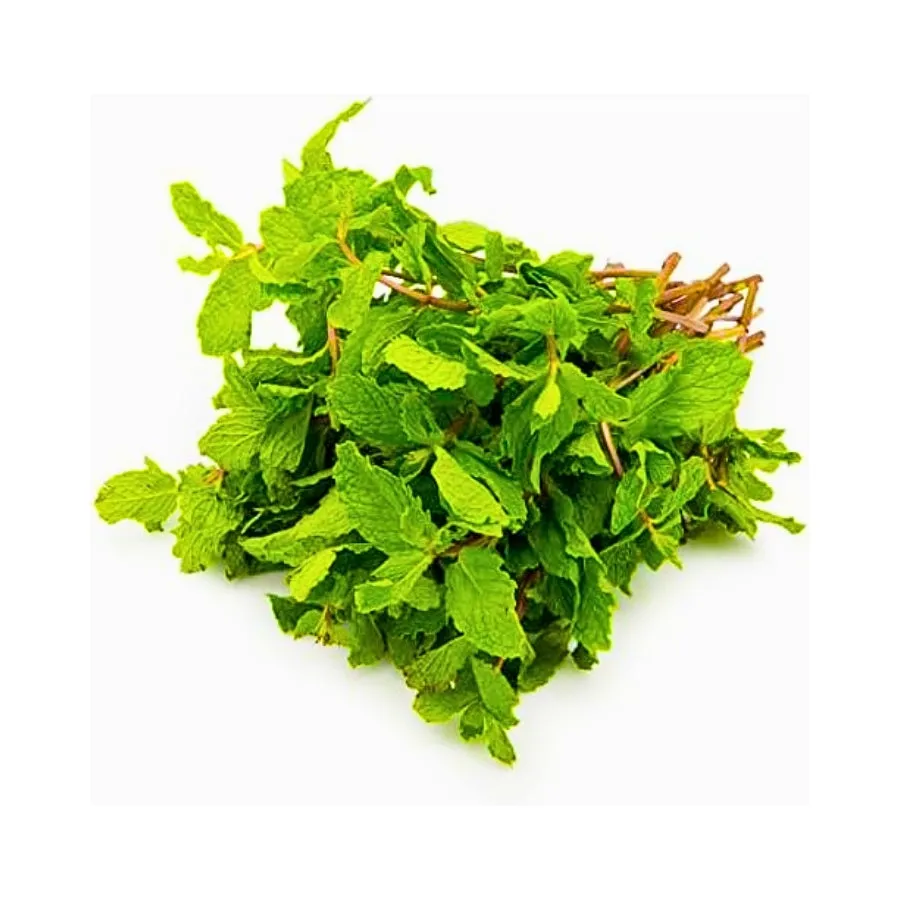 Ceylon Supermart Fresh Mint Leaf Bunch, Each