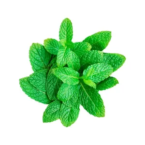 Ceylon Supermart Fresh Mint Leaf Bunch, Each