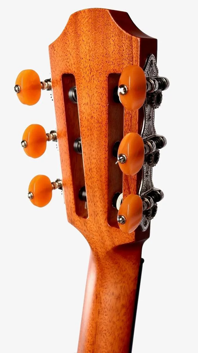 Furch GNc 4-CR Nylon Cedar / Indian Rosewood with LR Baggs EAS #105472
