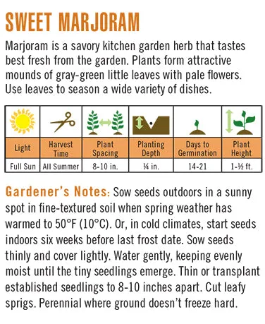 Heirloom Sweet Marjoram