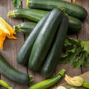 Squash (Summer) Seeds - Black Beauty
